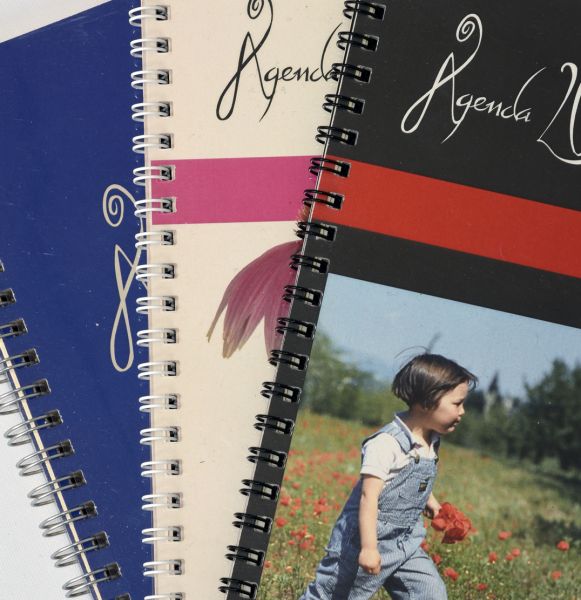Agenda annuel semainier journalier personnalise